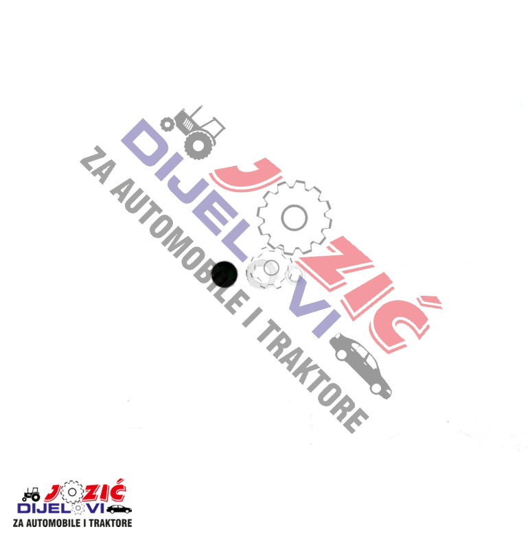 Daisy on the Ohoopee